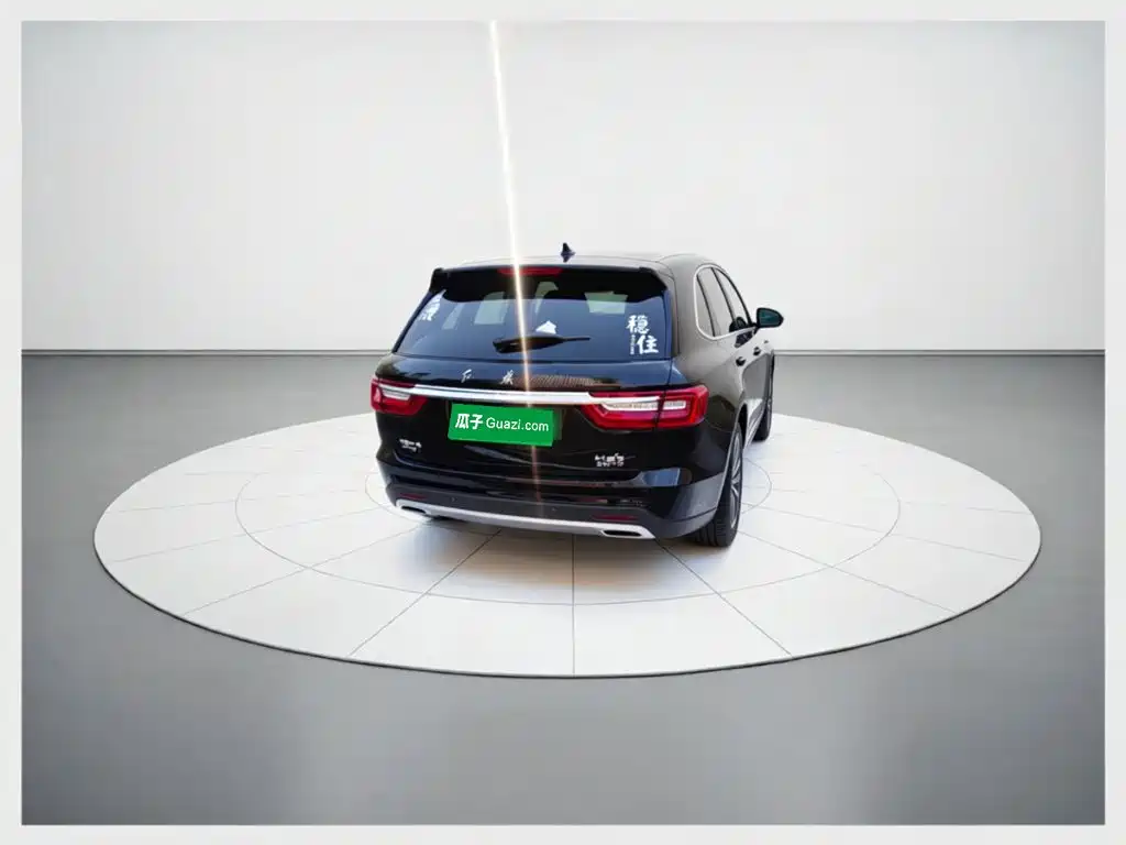 Фото 6 - Hongqi HS7