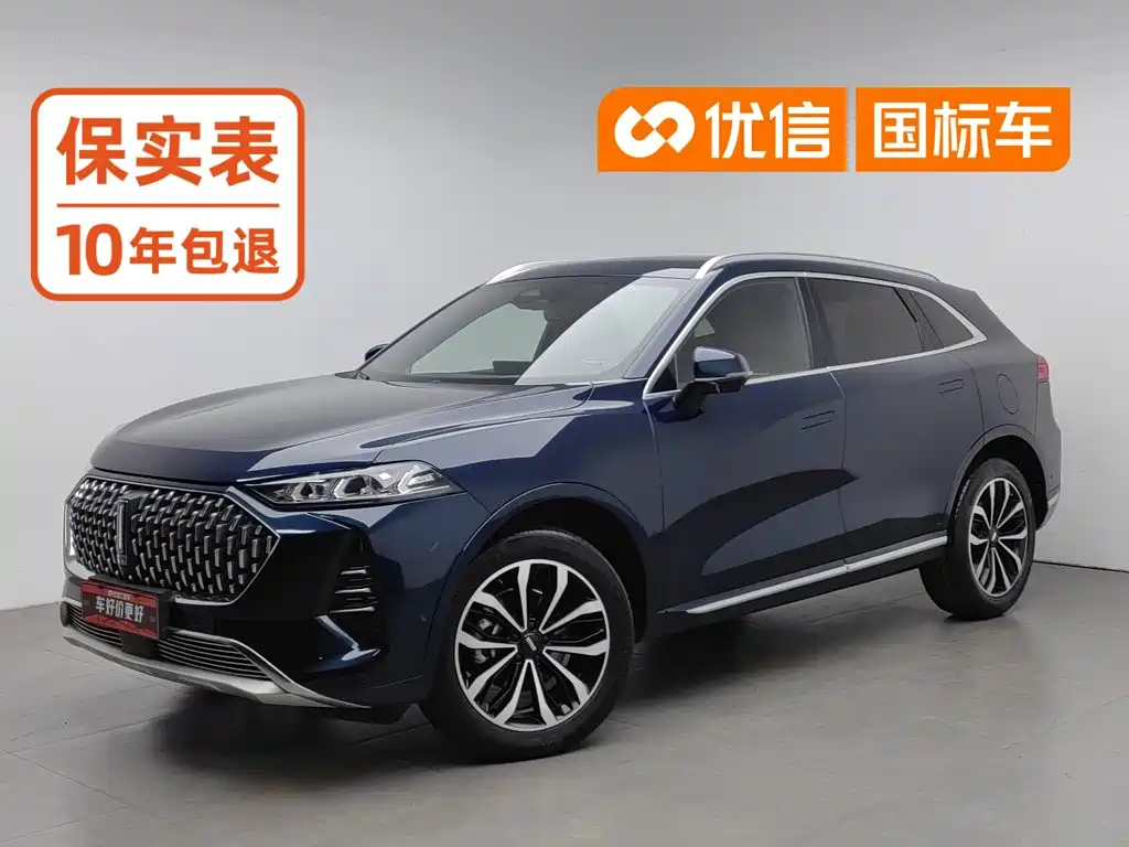 WEY Mocha 2022 2021 2.0T 2WD Extra Rich Edition