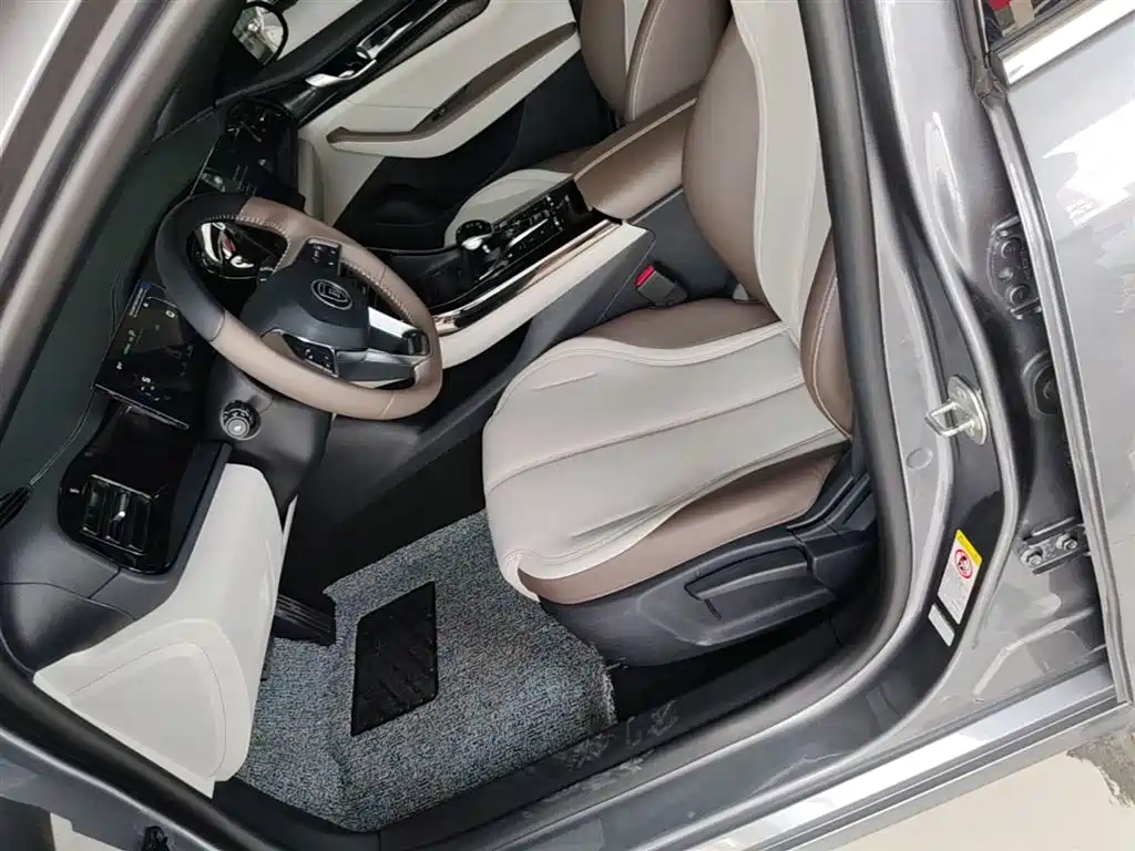 BYD Qin PLUS 2024 Glory Edition DM-i 55KM Leading фото 15