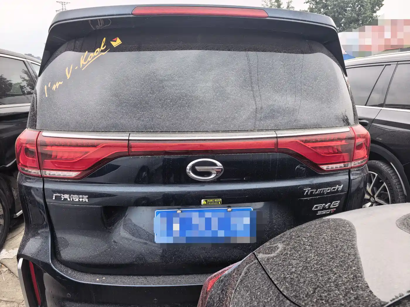GAC Trumpchi Trumpchi M8 2020 390T Prestige фото 8