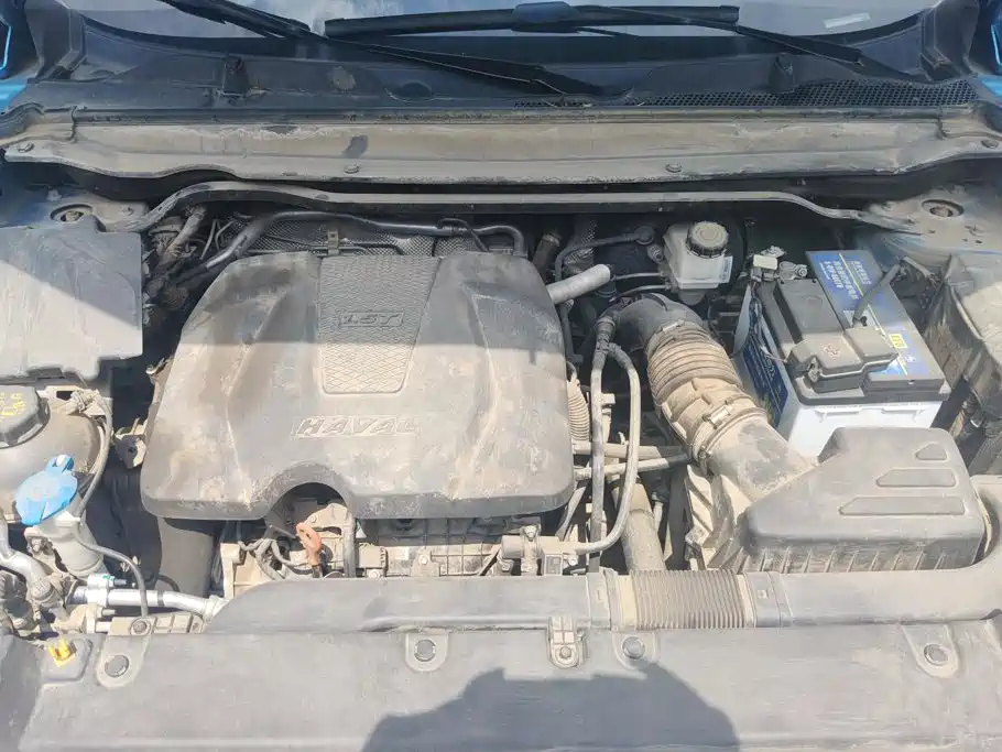 Haval First Love 2021 2021 1.5T Automatic Premium Edition