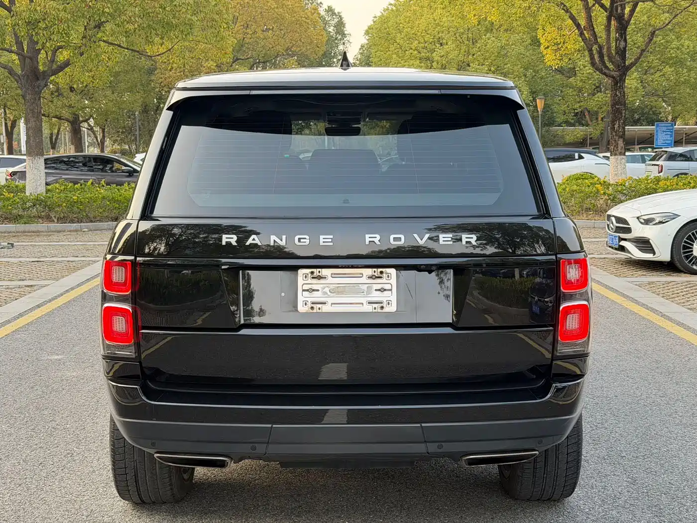 Land Rover Range Rover 2019 3.0 SC V6 Heritage Extended Edition фото 17