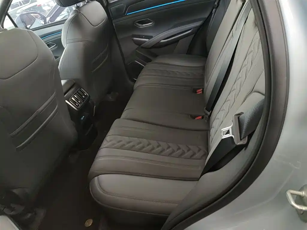 BYD Song L DM-i 2025 Smart Drive 160km Premium фото 17