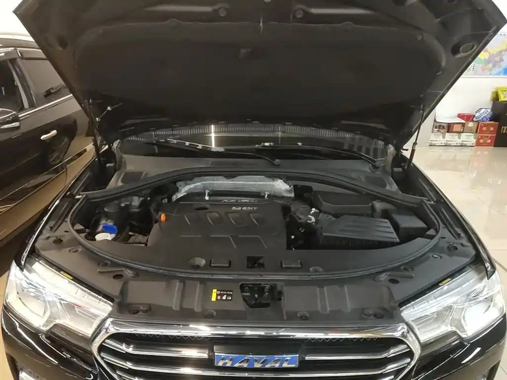 Haval H7 2016 Blue Label H7 2.0T Automatic Elite фото 20