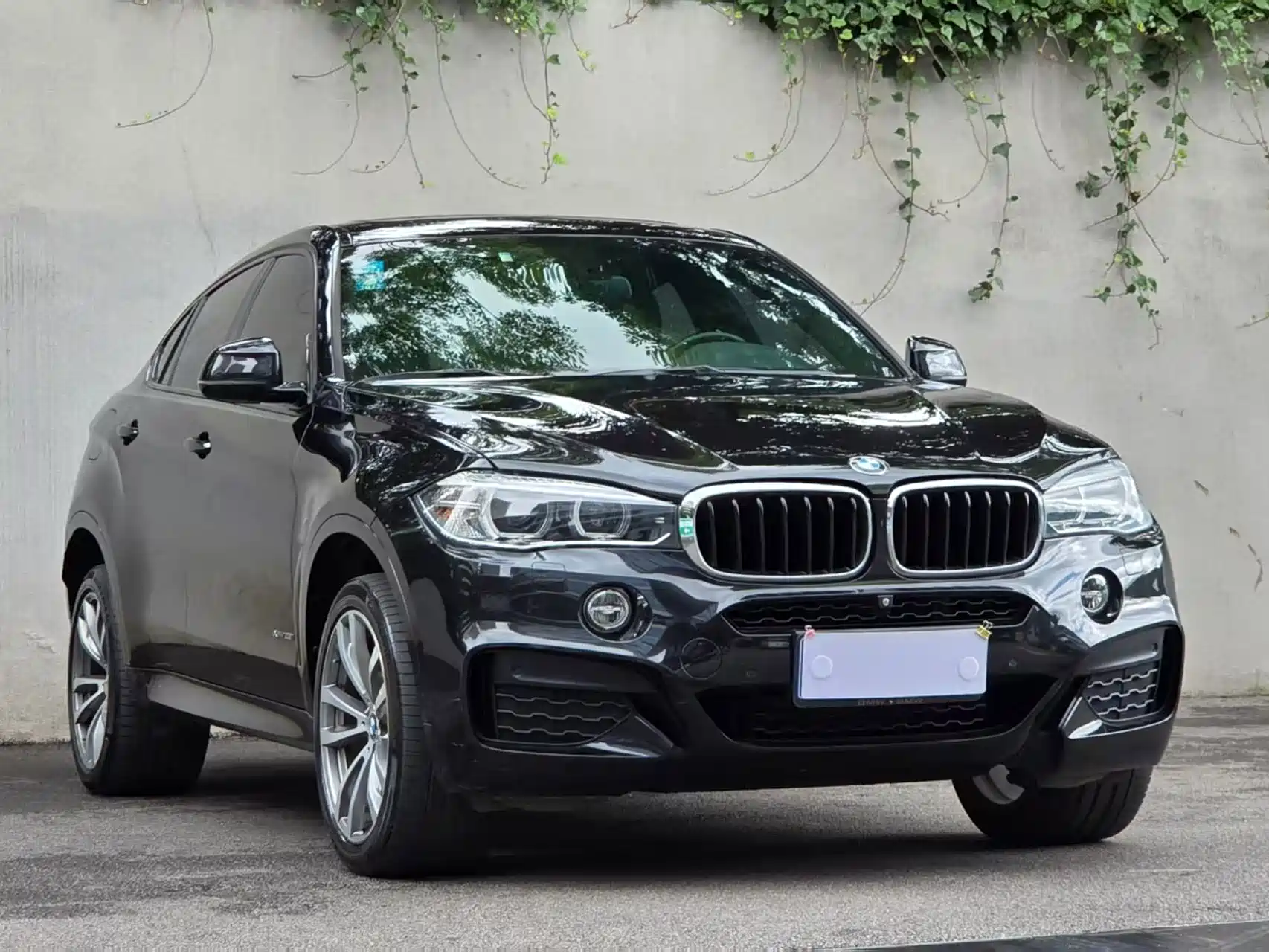 Фото 3 - BMW X6