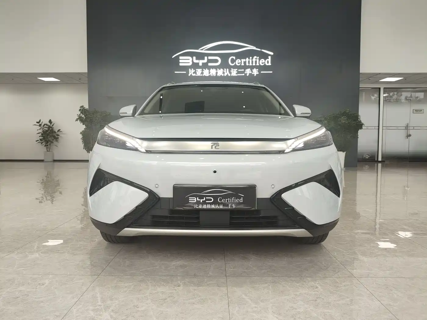 BYD Yuan PLUS 2025 Smart Drive 510KM Surpass Edition фото 4