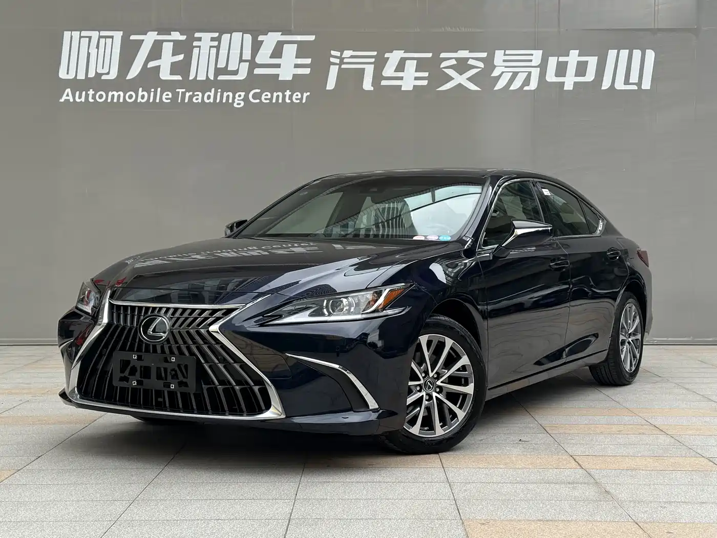 Lexus ES 2023 200 Excellence Edition фото 2