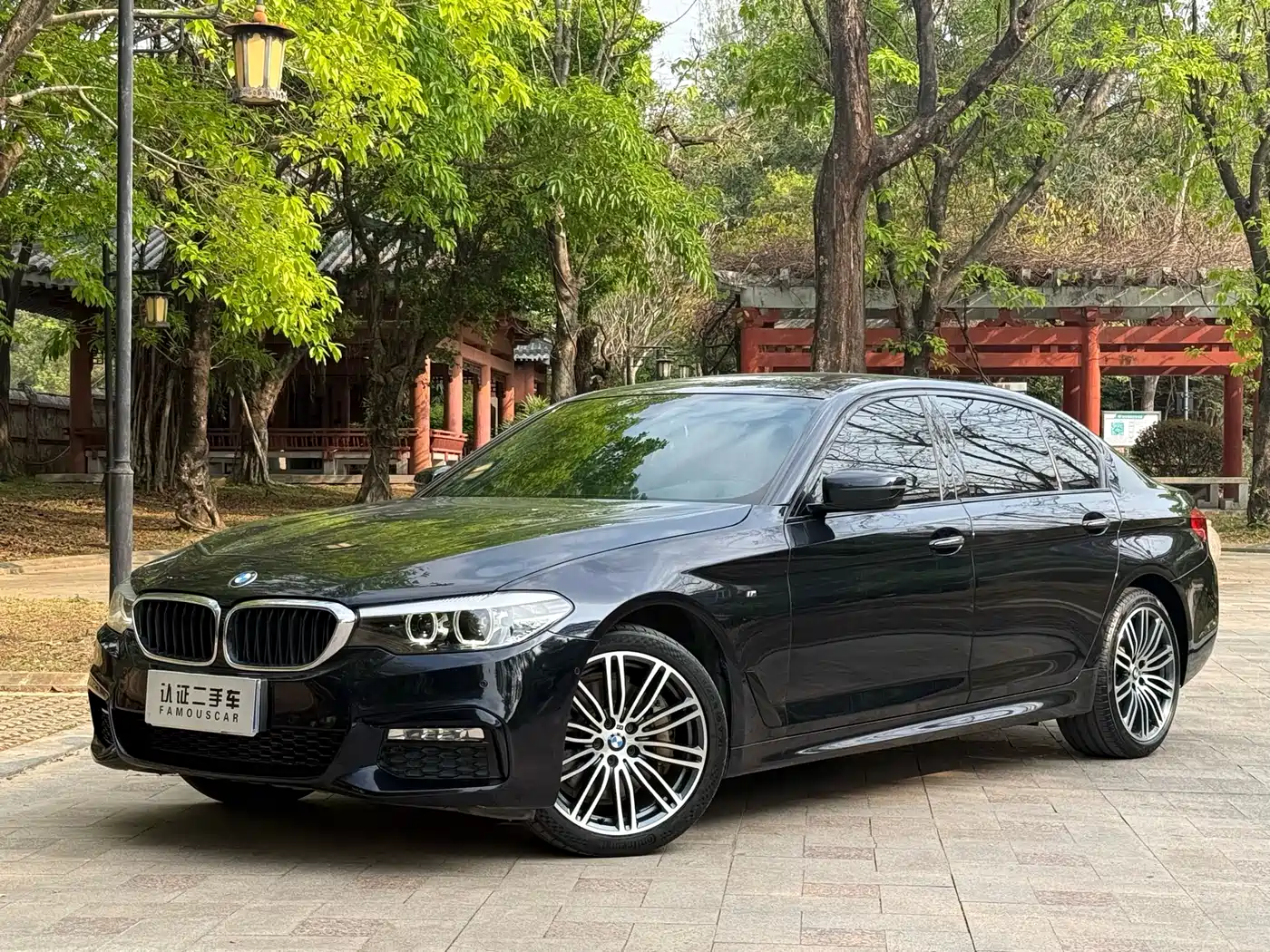 BMW 5 Series 2018 530Li Leading M Sport Package