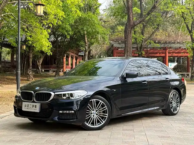 BMW 5 SERIES