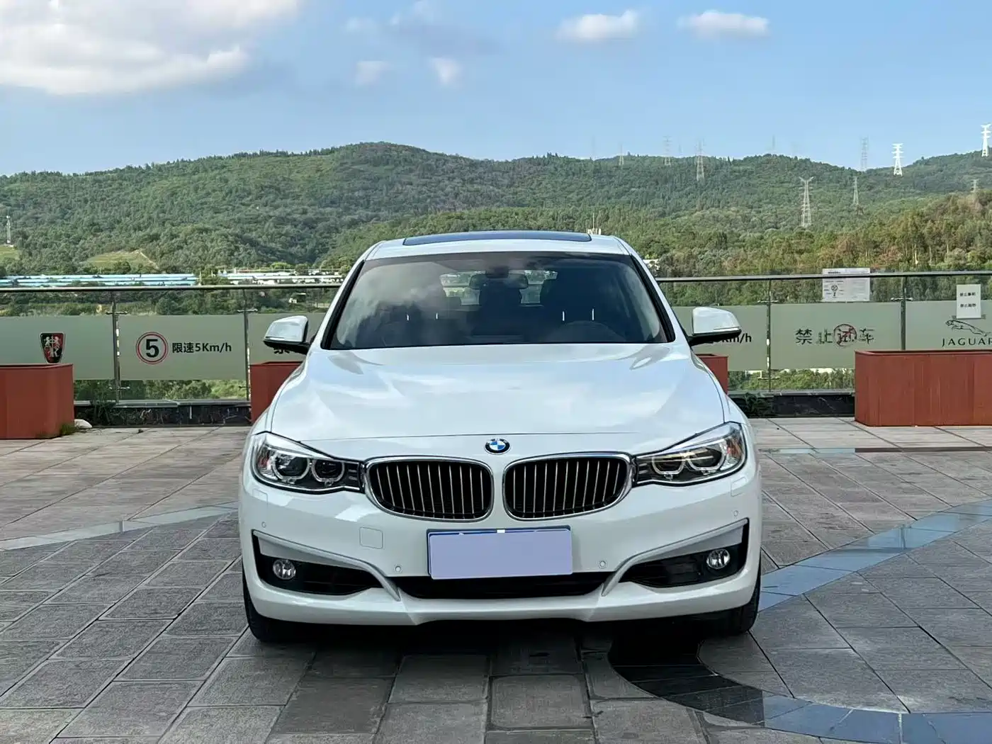 BMW 3 Series GT 2013 335i Trend Design Package фото 11