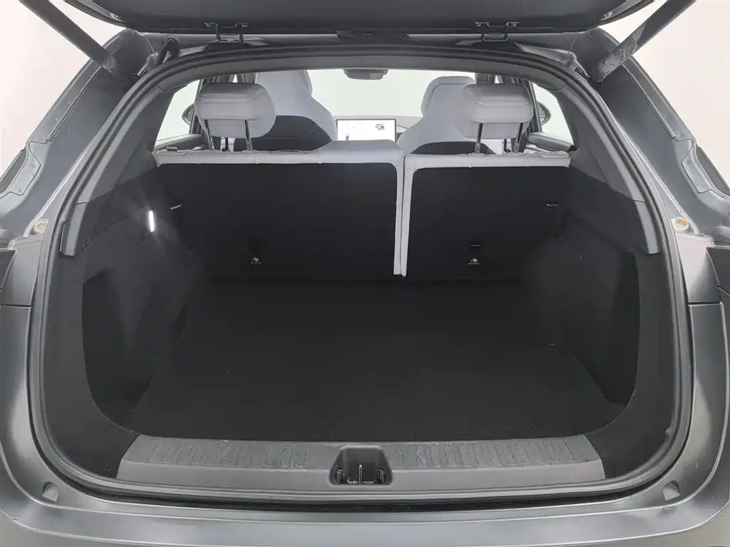 ARCFOX EXTREME FOX POLAR FOX ALPHA T5