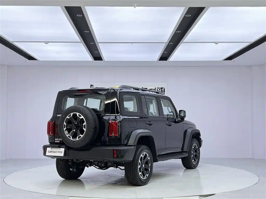 TANK TANK 300 NEW ENERGY