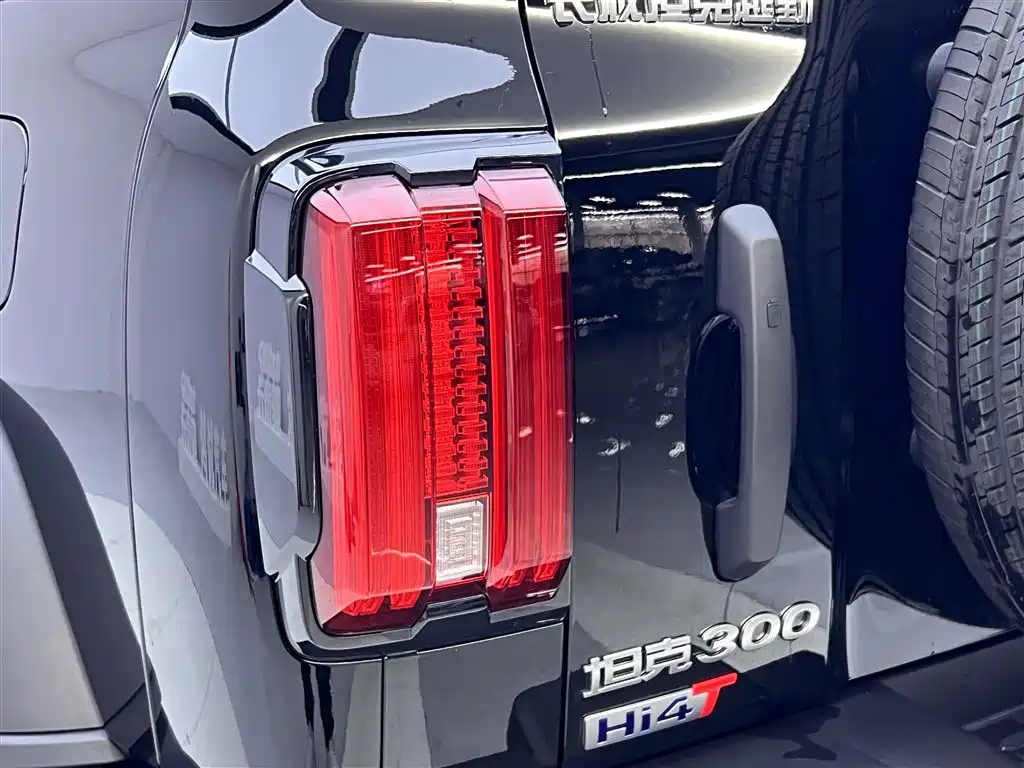 TANK TANK 300 NEW ENERGY