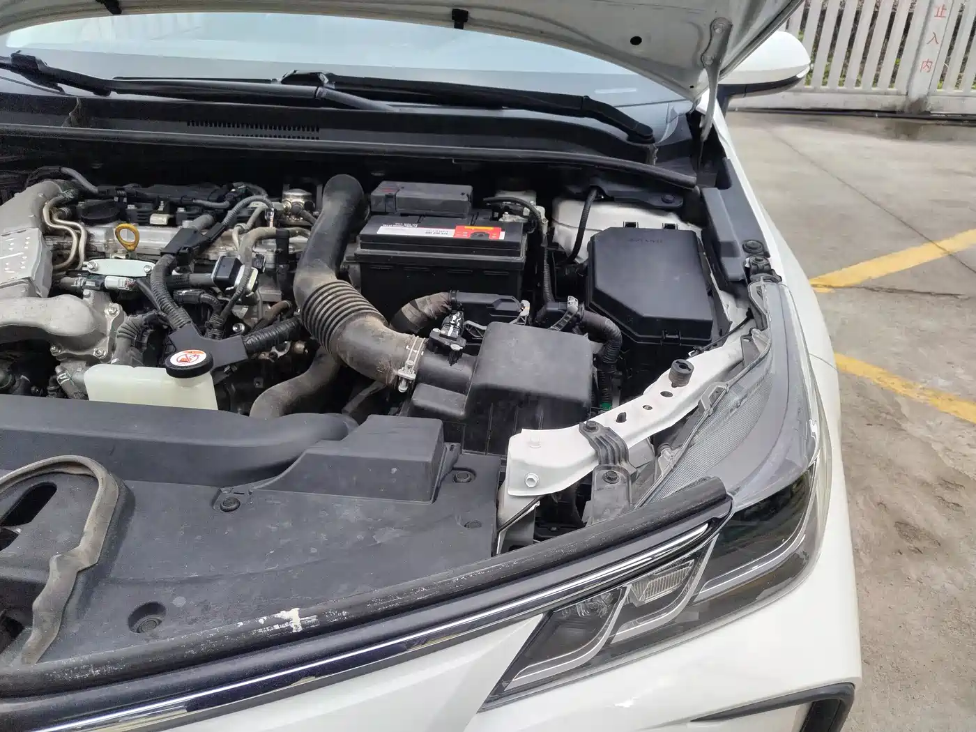 Toyota Corolla 2023 1.2T Pioneer Edition фото 18