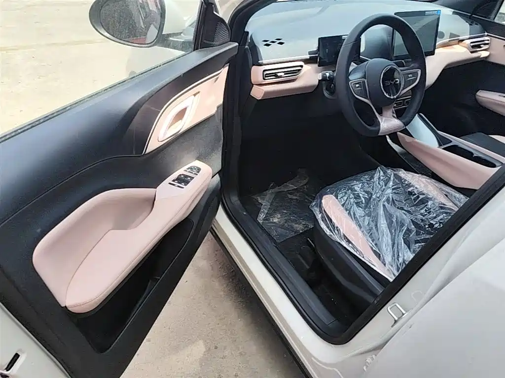 BYD Seagull 2025 Smart Drive Edition 305km Vitality Version фото 16