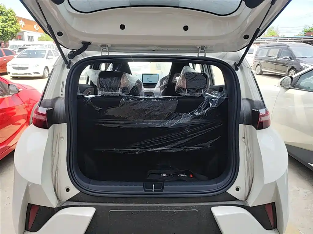 BYD Seagull 2025 Smart Drive Edition 305km Vitality Version фото 19