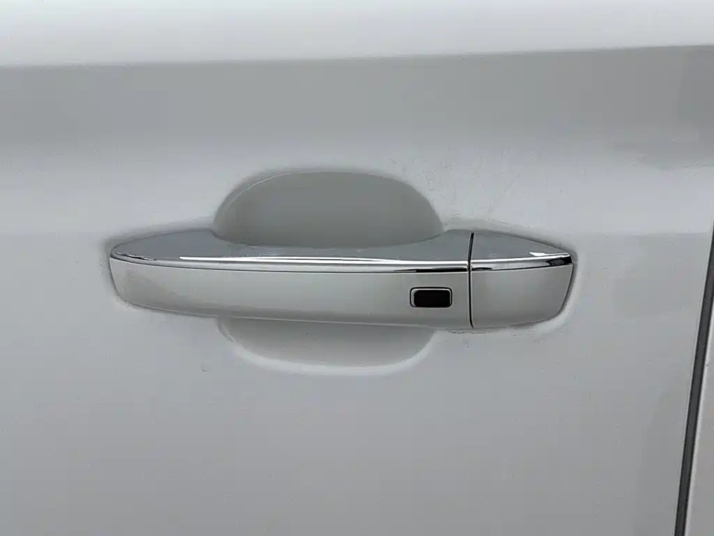 Roewe RX8 2022 2019 30T 2WD Flagship Edition