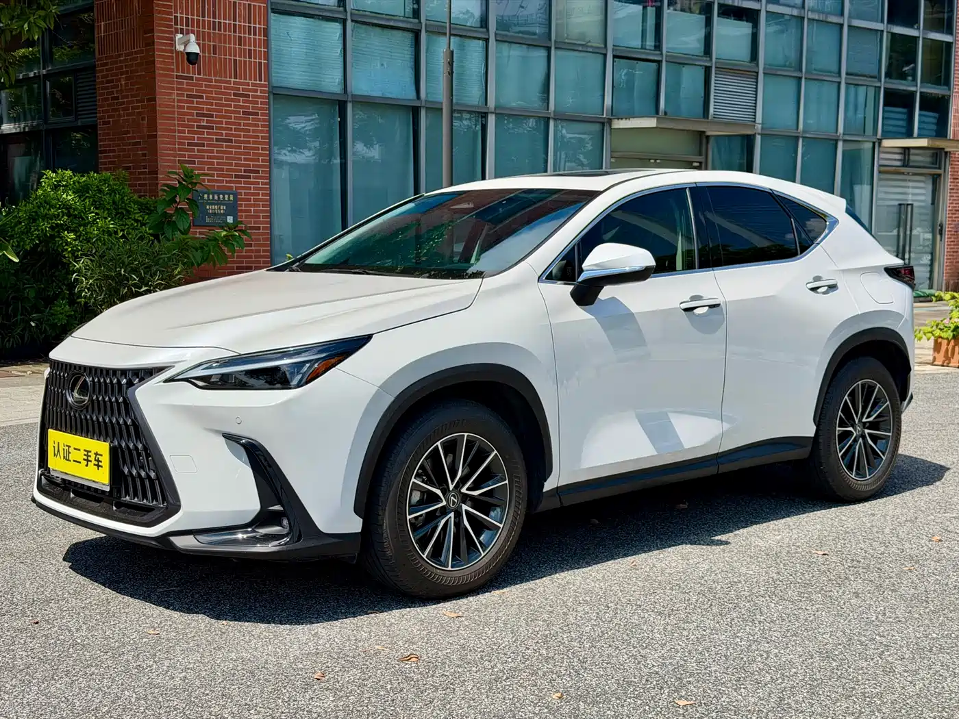 Lexus NX 2024 2024 260 FWD Joy Creation Edition