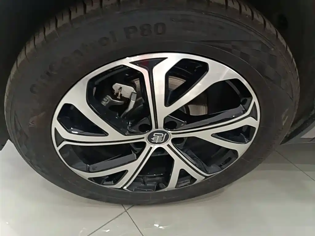 BYD Tang New Energy 2025 Smart Driving Edition DM-i 115KM Flagship фото 23