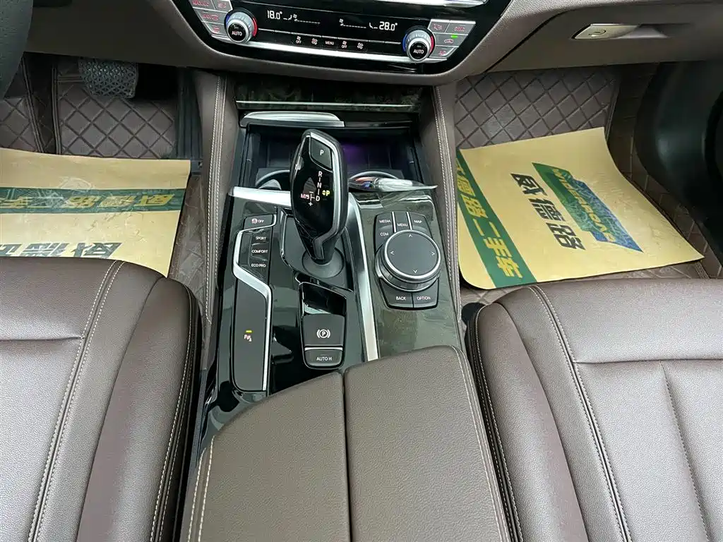 BMW 5 Series 2020 525Li M Sport Package фото 22