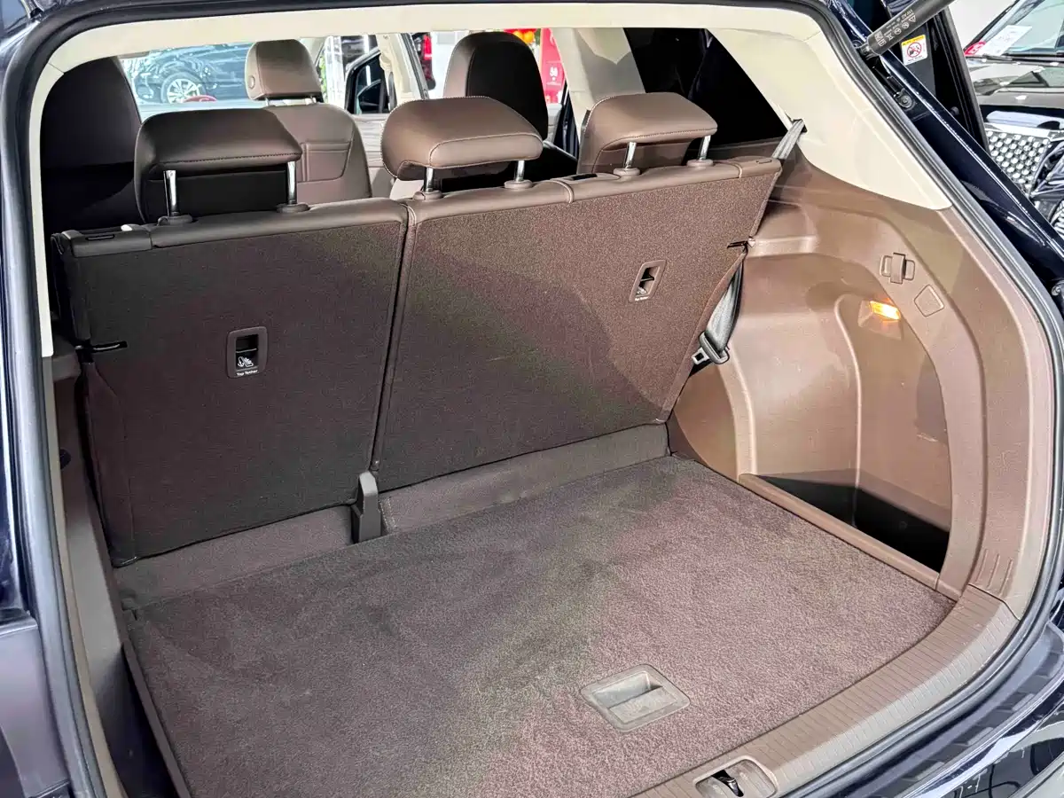 Volkswagen Viloran 2023 380TSI Premium Edition фото 7