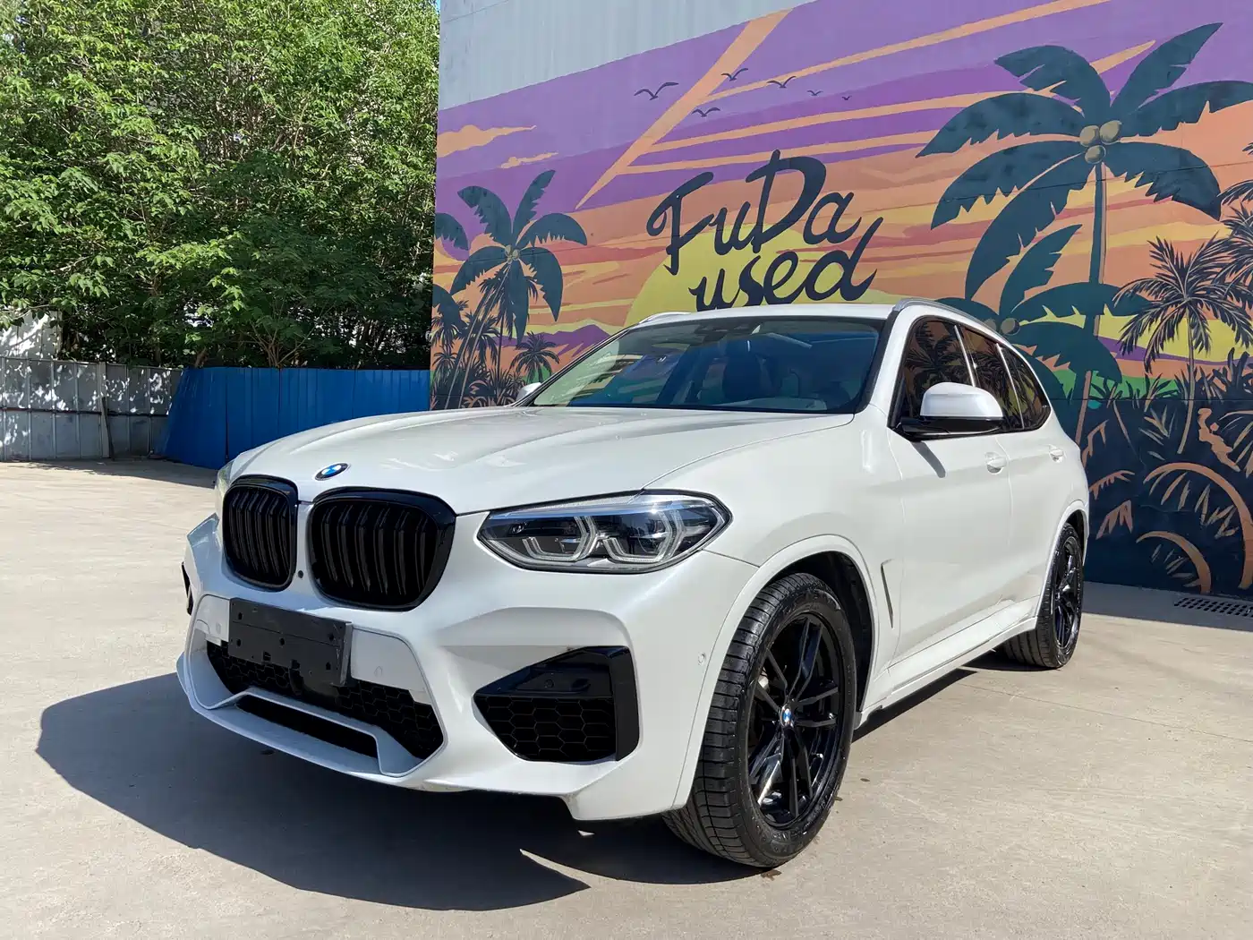 BMW X3 2018 xDrive28i M Sport Package China V