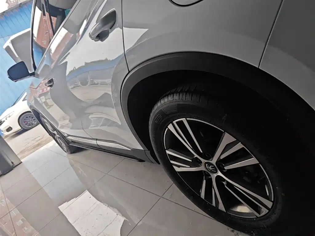 BYD Song Pro New Energy 2022 DM-i 51km Premium фото 22