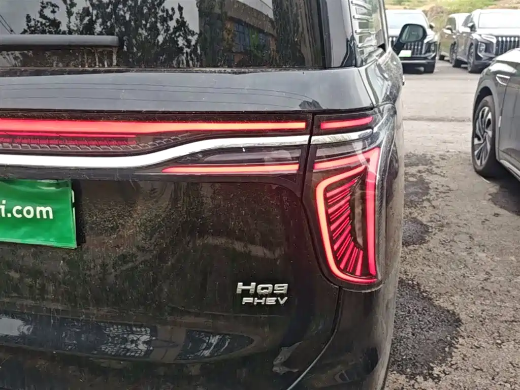 Hongqi HQ9 PHEV 2024 Model 2.0T AWD Business Edition фото 8