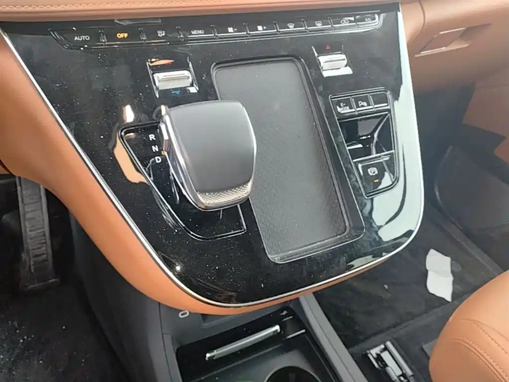 Hongqi HQ9 PHEV 2024 Model 2.0T AWD Business Edition фото 14