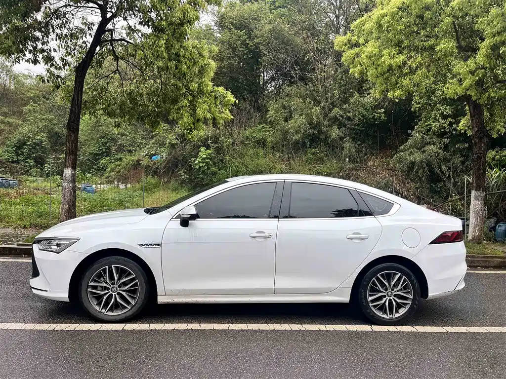 BYD Qin PLUS 2023 Champion Edition DM-i 120KM Excellence фото 8