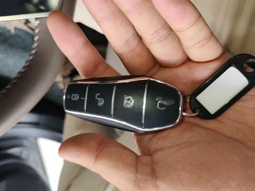 BYD Qin PLUS 2024 Glory Edition DM-i 55KM Leading фото 9