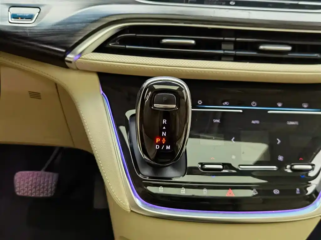 Buick GL8 2023 ES Landmaster Luxury фото 15