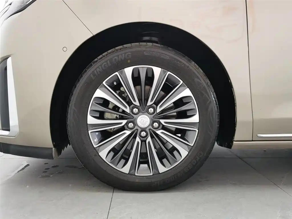 Buick GL8 2023 ES Landmaster Luxury фото 13