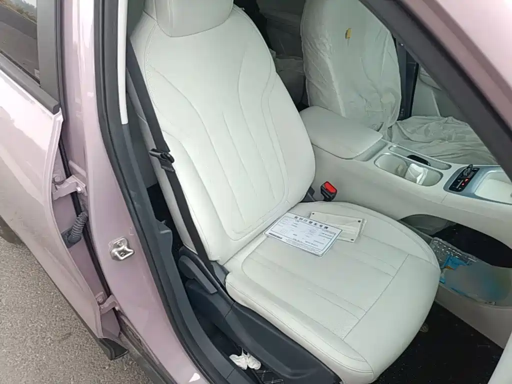 Geely Galaxy Starry Wish 2026 2026 Edition 310km Youth Version