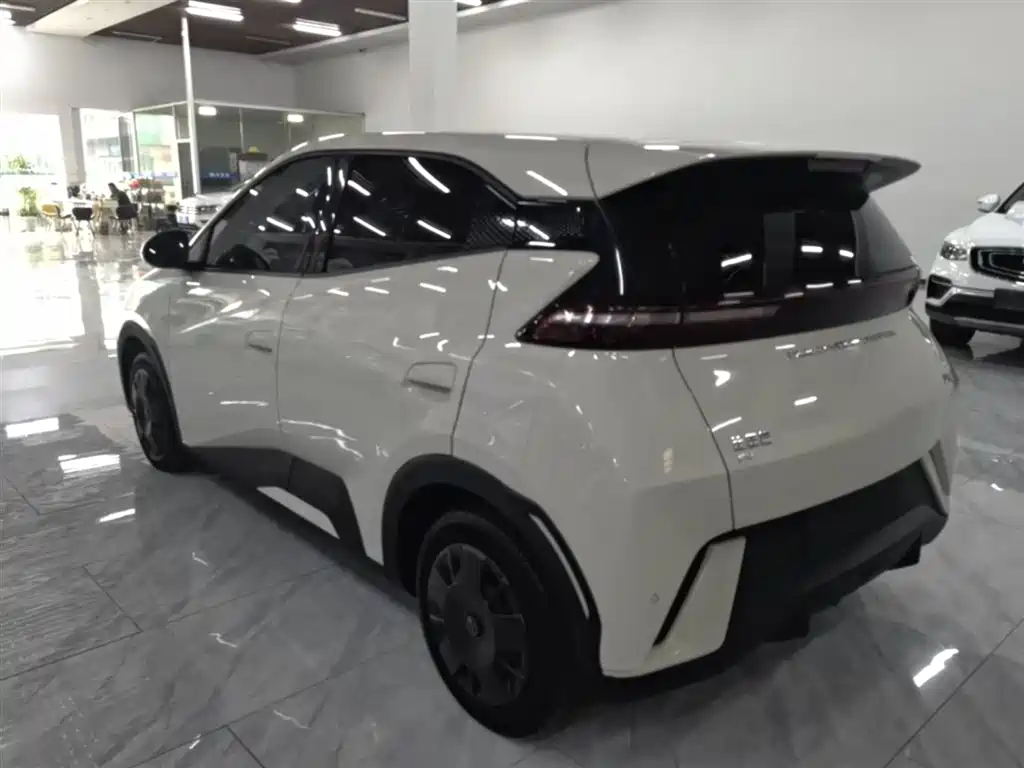 BYD Seagull 2024 Glory Edition 305km Vitality Edition фото 5