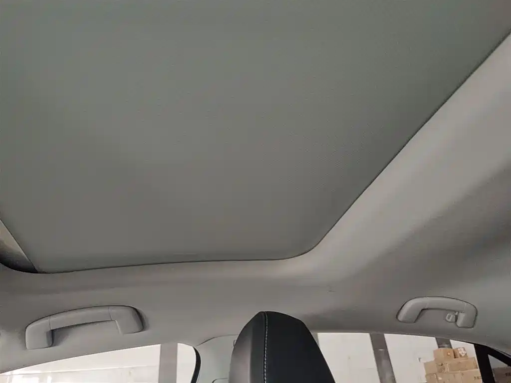 VOLKSWAGEN LINGDU