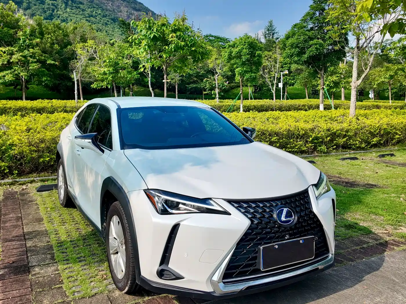 Lexus UX 2019 2019 260h Explorer Cool Edition (China V)