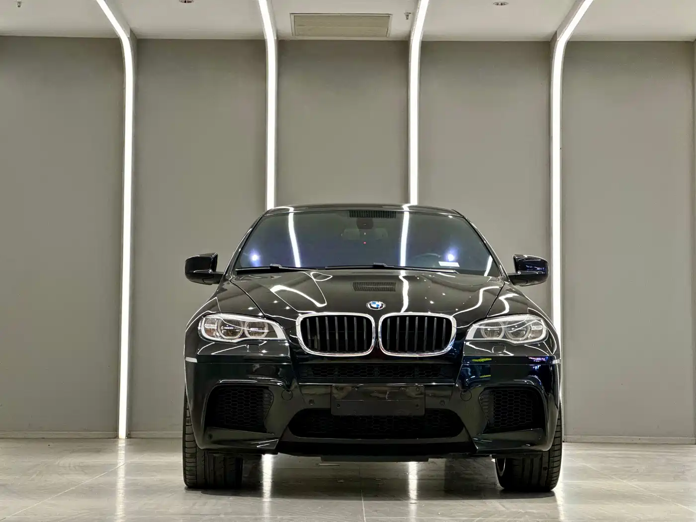 BMW X6 M 2013 X6 M фото 2