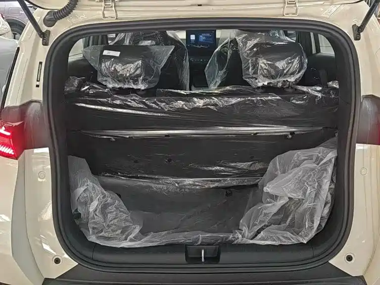 BYD Seagull 2026 2025 Smart Drive Edition 305km Vitality Version