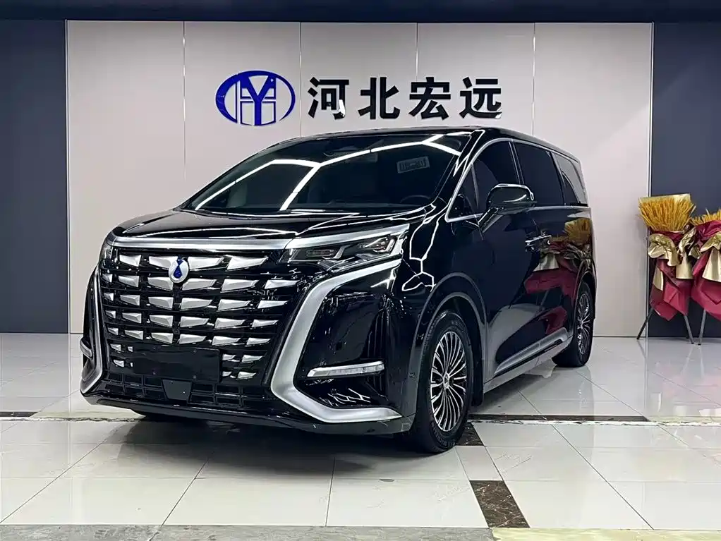  Denza Denza D9 2024 DM-i 980 AWD Prestige