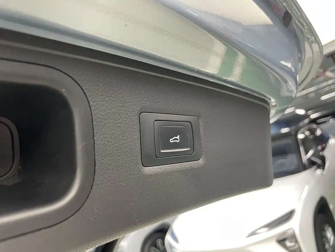 Voyah Auto VOYAH FREE 2021 AWD Standard Range Extender Exclusive Luxury Package фото 24
