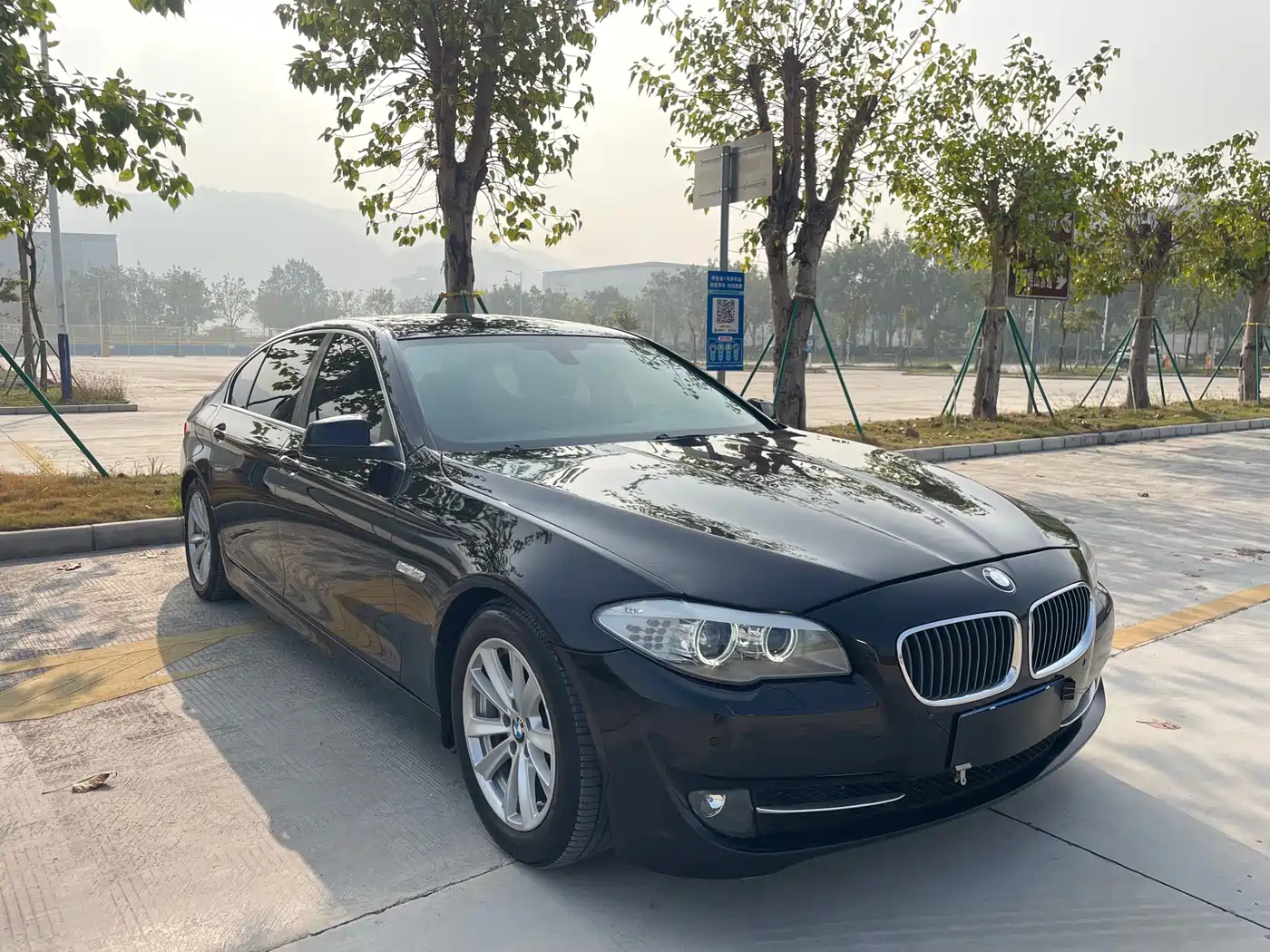 BMW 5 Series 2013 525Li Luxury фото 3