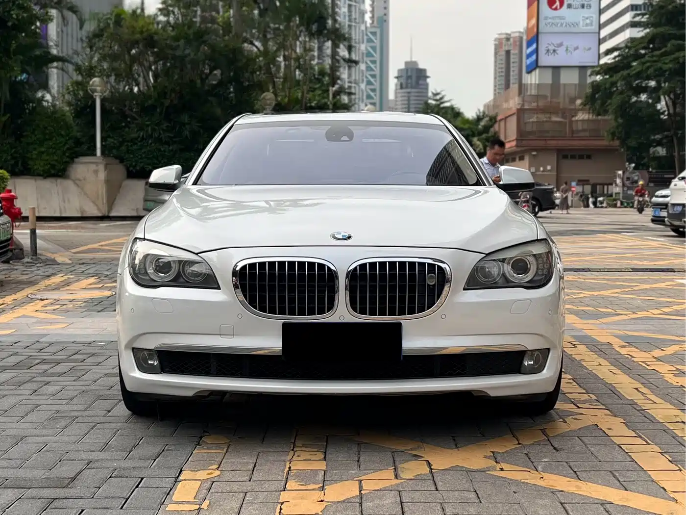 BMW 7 Series 2010 4.4T Hybrid фото 2