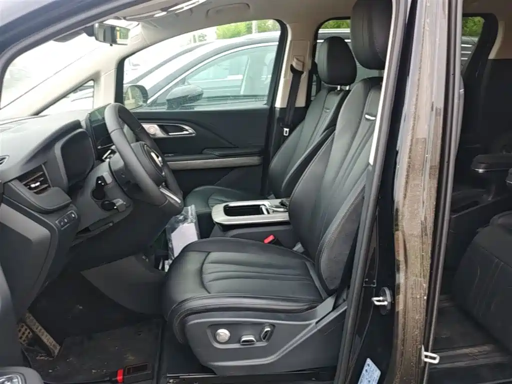 Hongqi HQ9 PHEV 2024 Model 2.0T AWD Business Edition фото 15