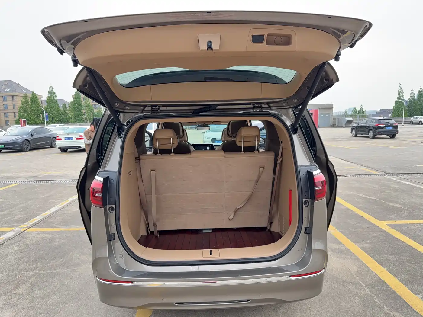 Buick GL8 2021 ES Landlord 653T Luxury фото 15