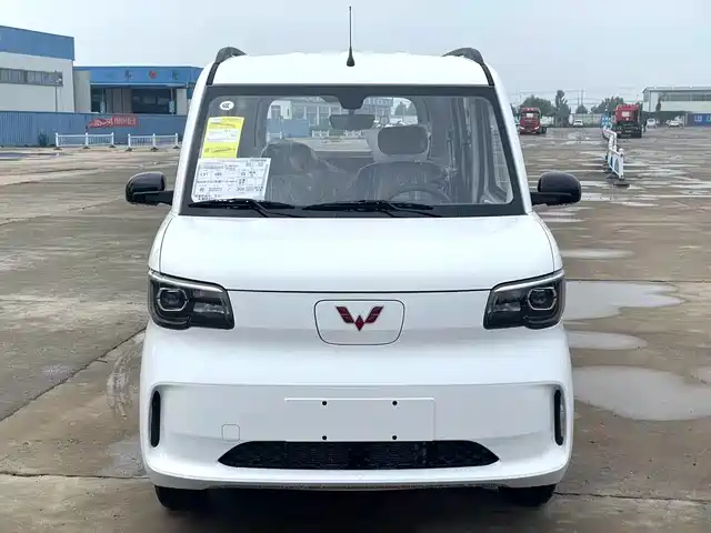  Wuling Motors Wuling Zhiguang NEV 2025 Model 305km Base Version