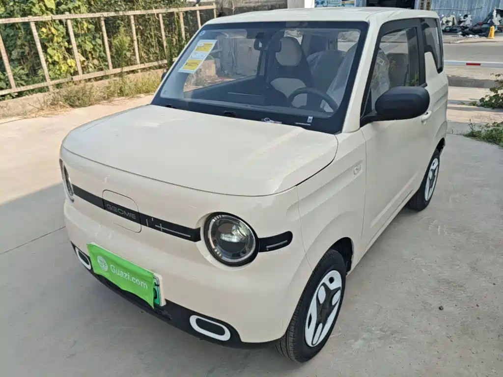 Geely Galaxy Panda 2025 Panda mini 210km Vitality Bear