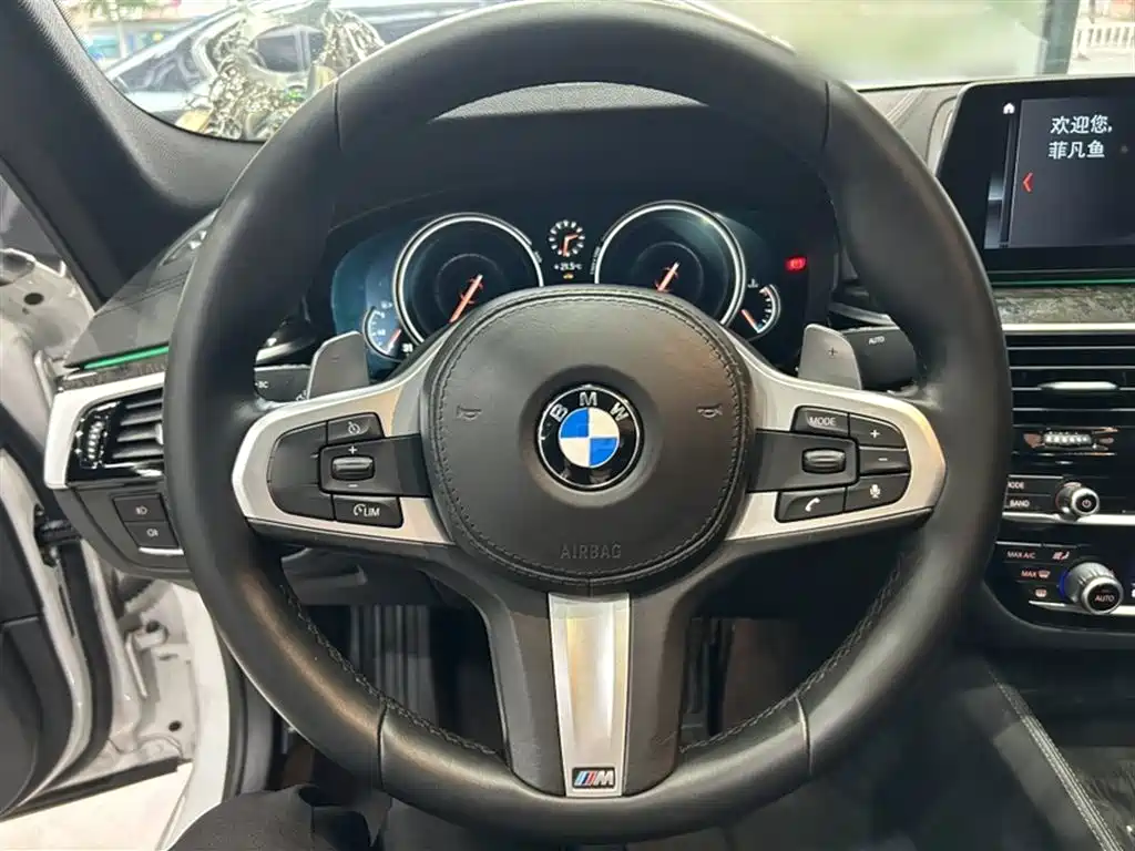BMW 5 Series 2018 530Li Premium M Sport Package фото 3