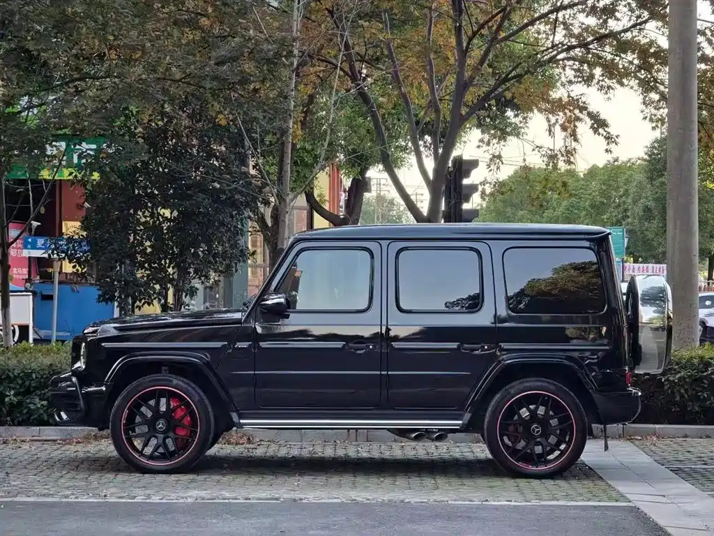 Mercedes-Benz G-Class 2020 G 350 фото 3
