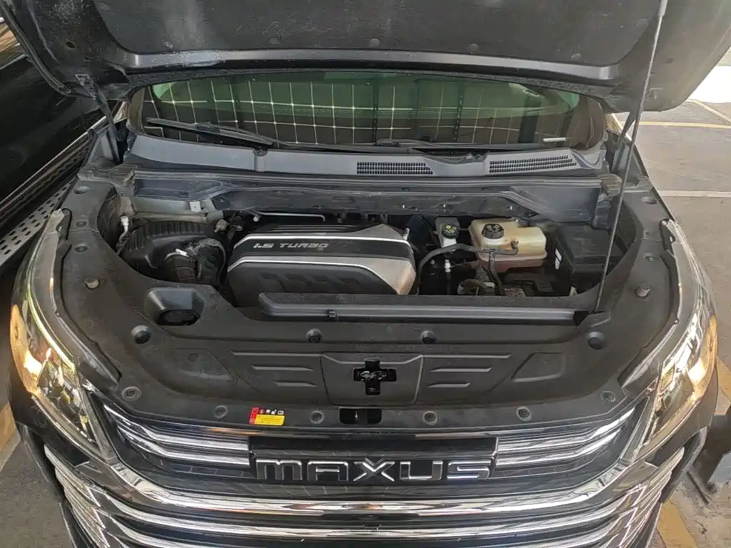 Фото 20 - SAIC Maxus Maxus G50